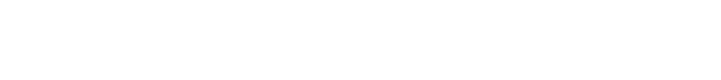 big logo
