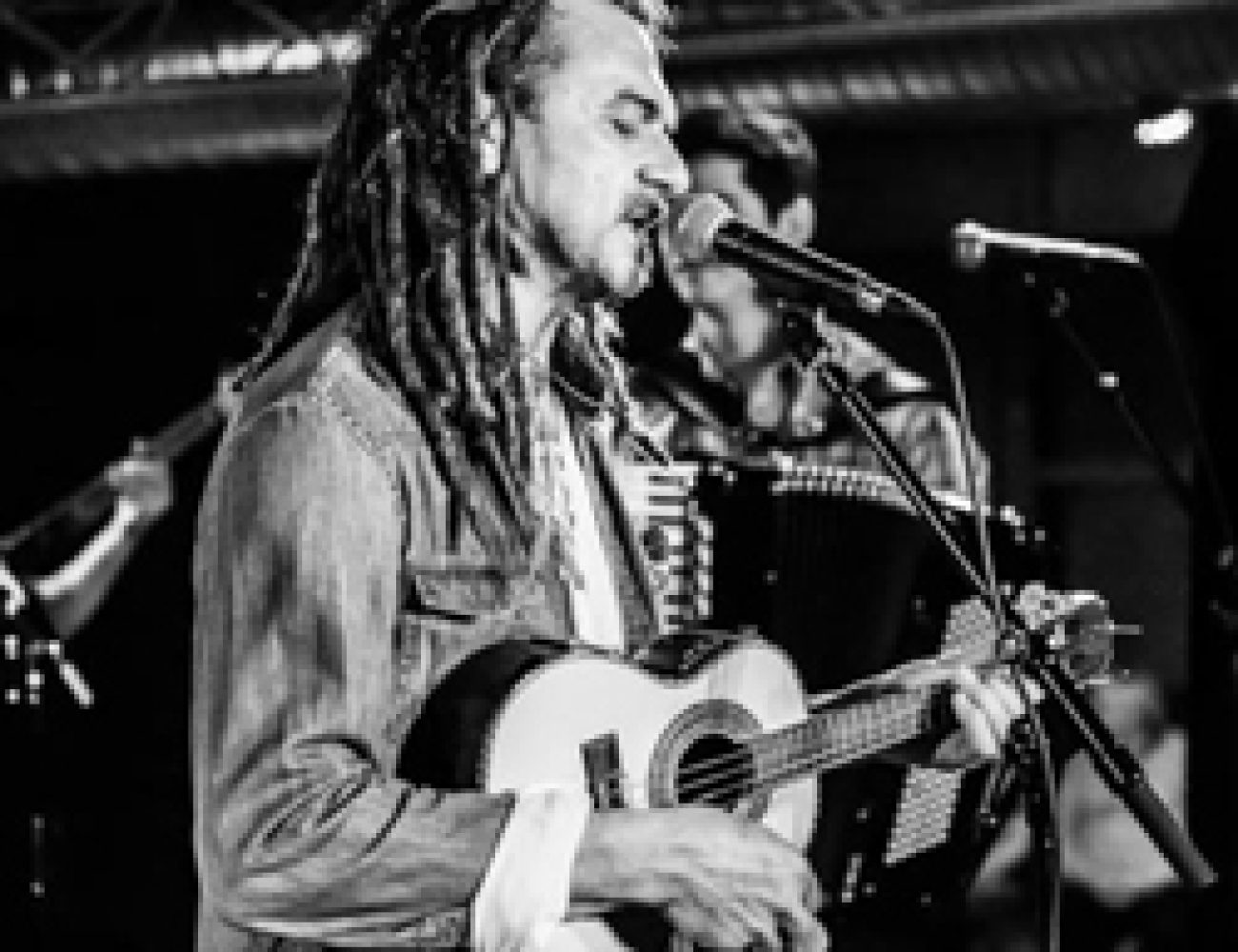 toninho-forragogo